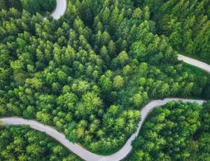 An aerial view of a winding road through a forest